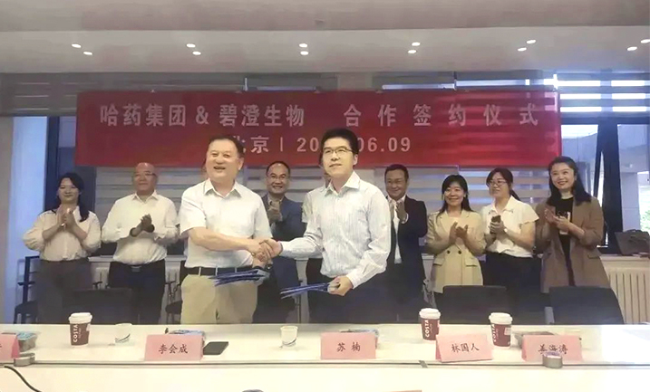 哈药携手清华大学，强强联合共创胶原蛋白行业未来